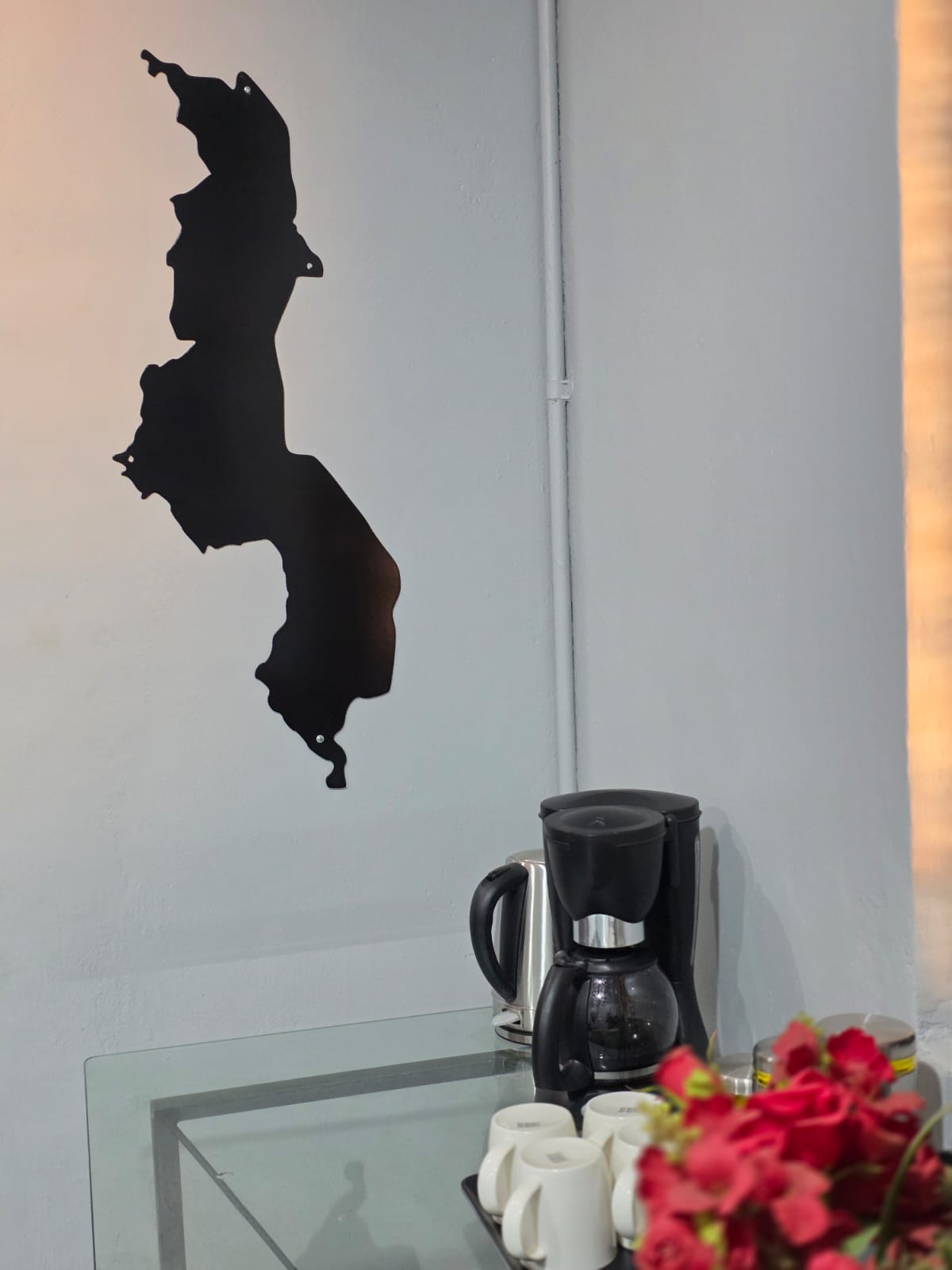 Black steel silhouette map of Malawi mounted as wall art in an office